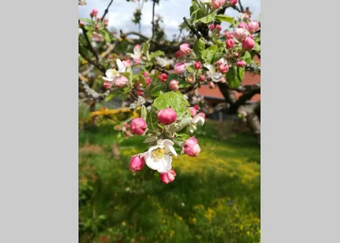 Zum Kuckuck, Wng 2, Urlaub Im Eichsfeld Kallmerode